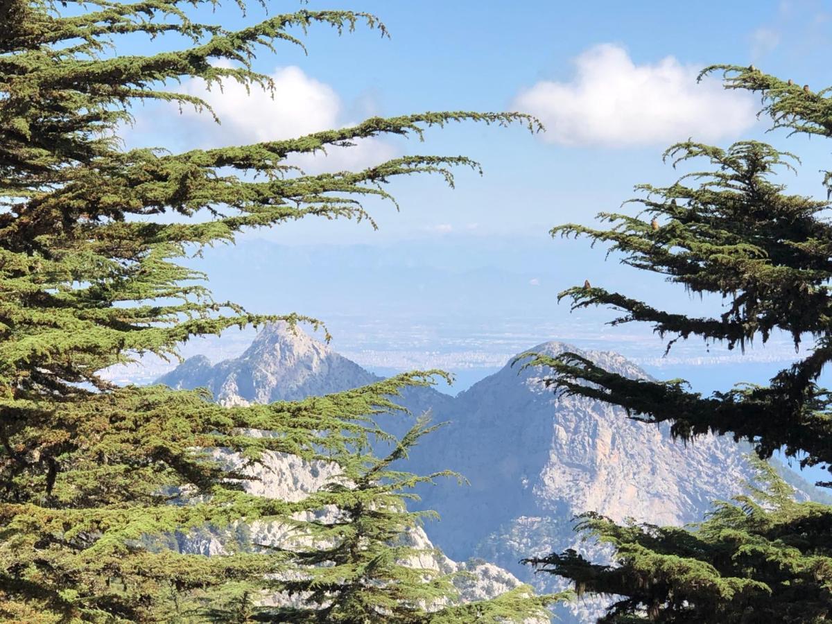 Villa Yenivadi Antalia Esterno foto